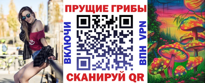 OMG tor  где продают   Томмот  Галлюциногенные грибы Magic Shrooms 